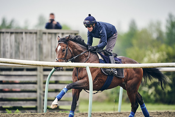 NEWMARKET-GALLOPS-25th-APRIL-DJ-0067
