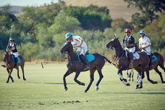 Oyster Cup Polo tournament
