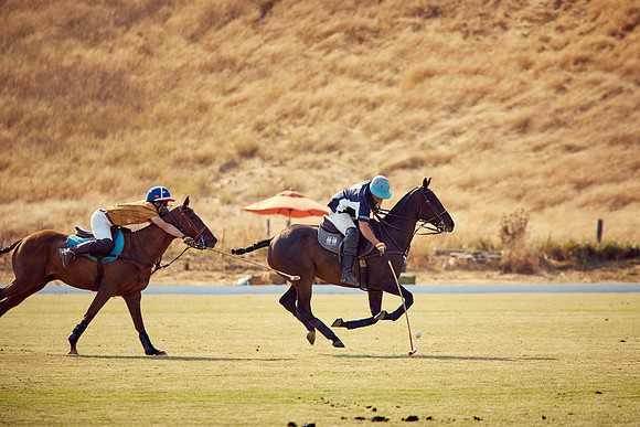 Oyster Cup Polo tournament