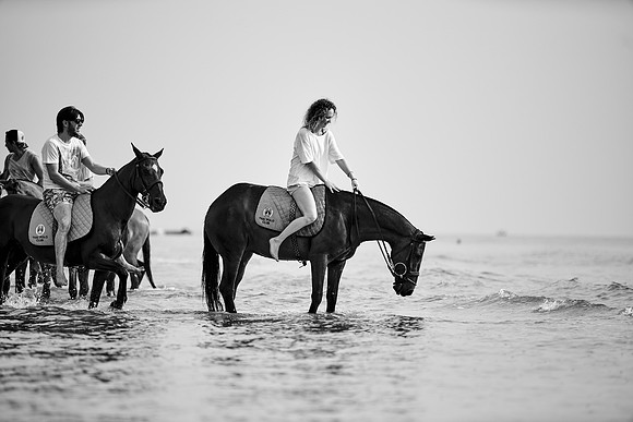 _DSC1513.ARW
