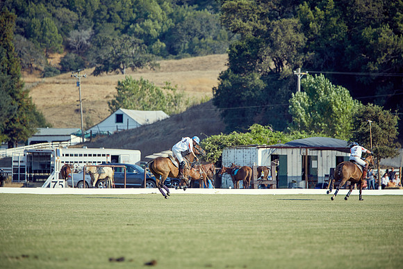 Oyster Cup Polo tournament