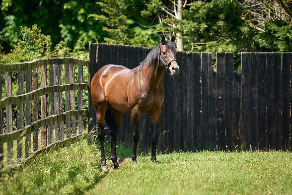 2022-06-08-Dominic-James-0594