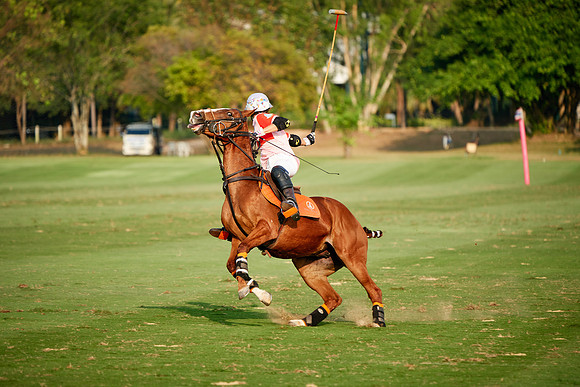 THAI-PINK-POLO-2019_DJ_2927