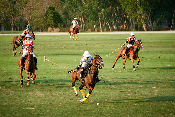 THAI-PINK-POLO-2019_DJ_3224