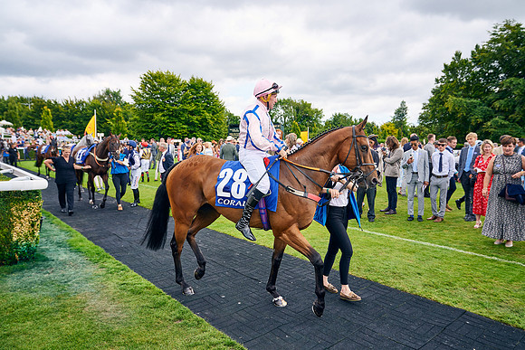 QGF2022_DominicJames_20797