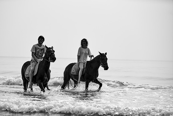 _DSC1597.ARW