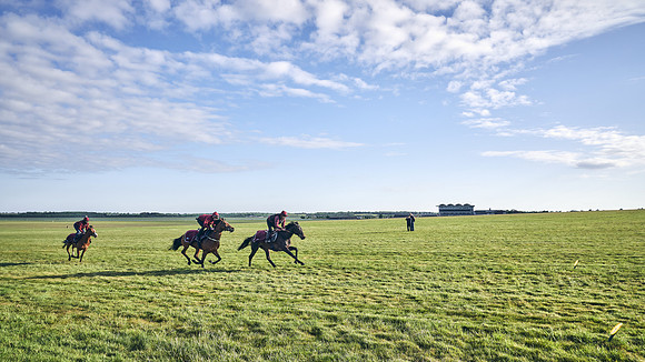 SUMMER GALLOPS-2nd-May-DJ-1631