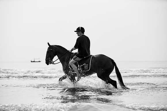 _DSC2868.ARW