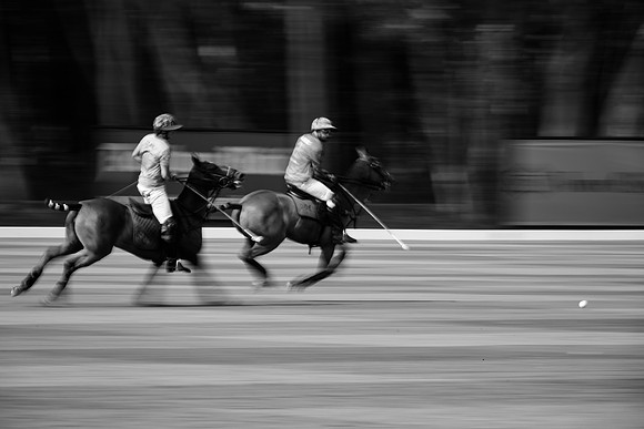 THAI-POLO-OPEN-2019_DJ_9659