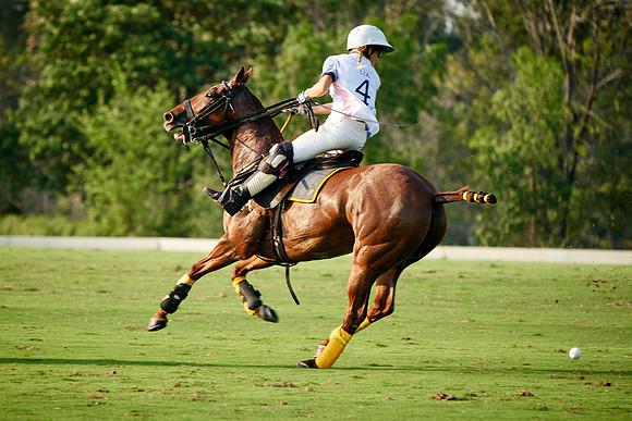 THAI-PINK-POLO-2019_DJ_5127