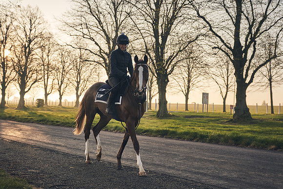 GEORGE-BOUGHEY-RACING-DJ-0518