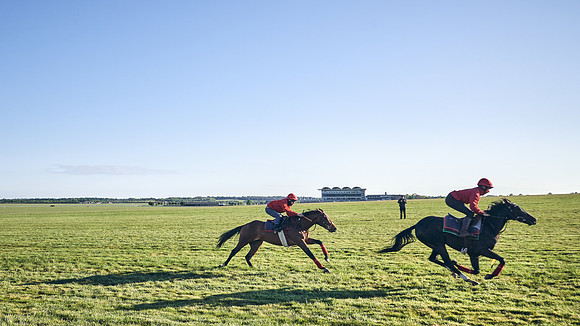 SUMMER GALLOPS-2nd-May-DJ-1437