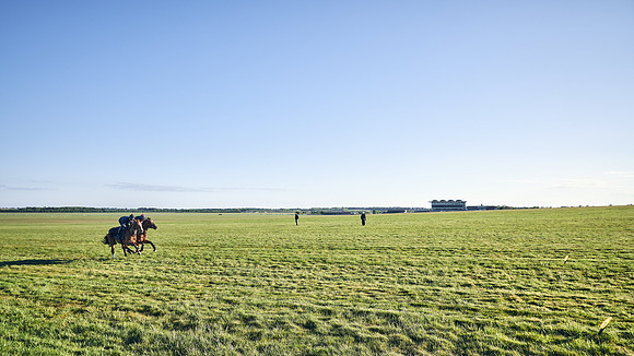 SUMMER GALLOPS-2nd-May-DJ-1037