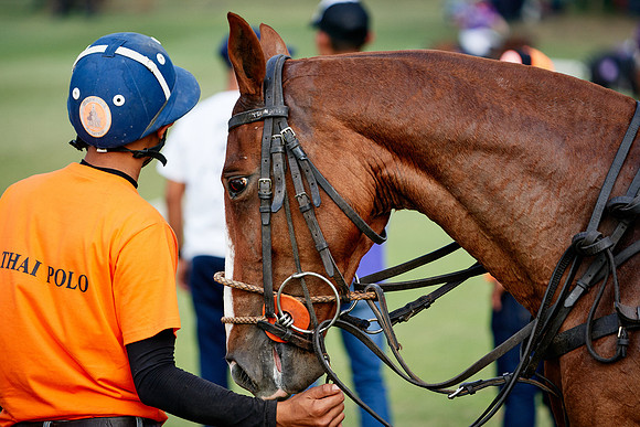 THAI-PINK-POLO-2020-Dominic-James_DJ99533.ARW3659