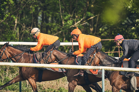 NEWMARKET-GALLOPS-24nd-APRIL-DJ-0652
