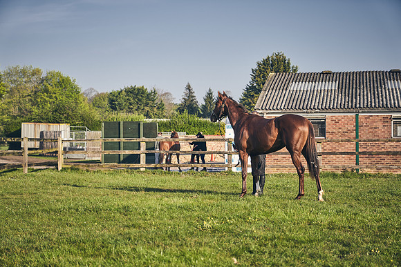 GEORGE-BOUGHEY-RACING-DJ-1278