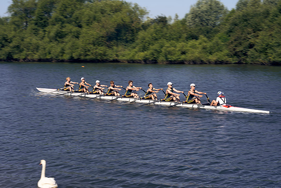 READING-TOWN-REGATTA_DJ_8437