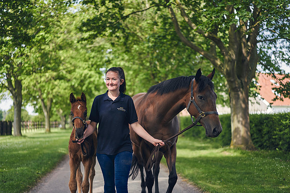 The-National-Stud-Dominic-James_DOM9664