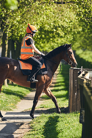 NEWMARKET-GALLOPS-22nd-APRIL-DJ-4005