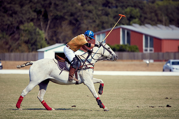 Oyster Cup Polo tournament