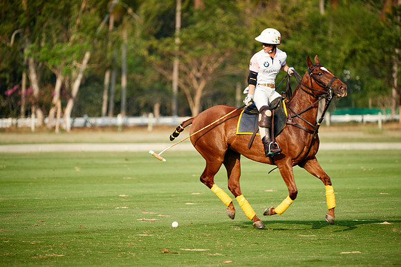 THAI-PINK-POLO-2019_DJ_2972