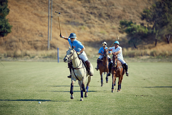 Oyster Cup Polo tournament