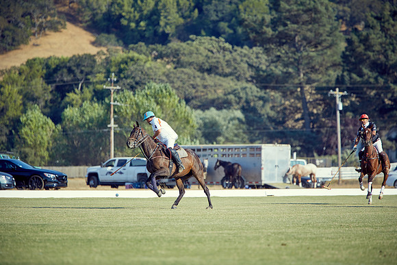 Oyster Cup Polo tournament