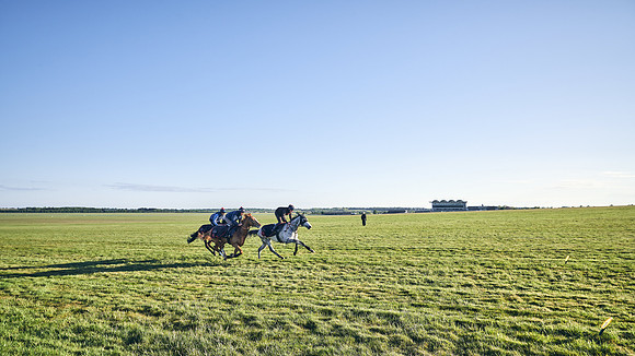 SUMMER GALLOPS-2nd-May-DJ-1025