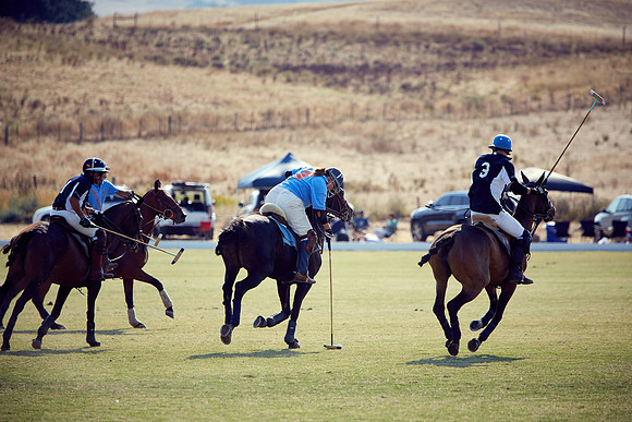 Oyster Cup Polo tournament