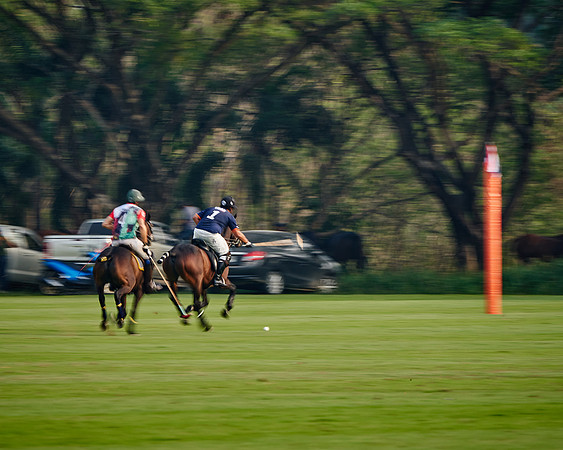THAI-POLO-PRACTICE-2020-01-21-Dominic-James_DJ91678.ARW8501