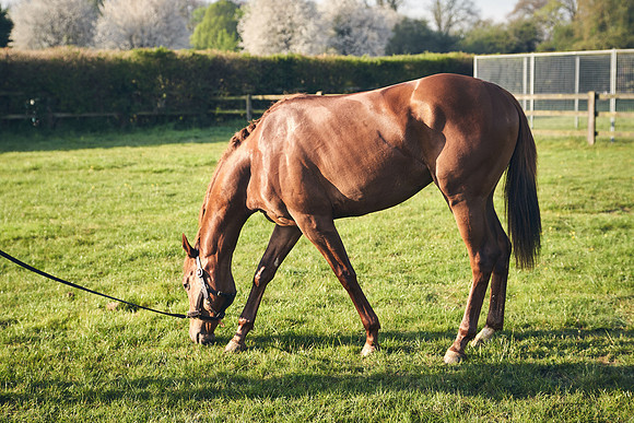 GEORGE-BOUGHEY-RACING-DJ-1383