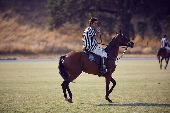 Oyster Cup Polo tournament