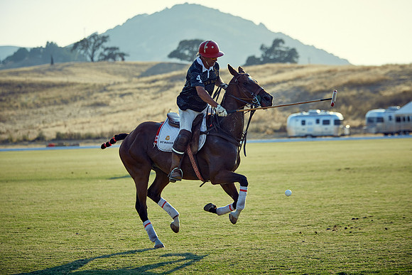 Oyster Cup Polo tournament