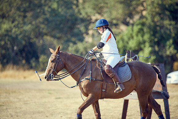 Oyster Cup Polo tournament