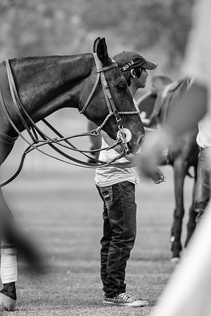 Royal Salute Gold Cup 2012 China Polo Tournament Open
