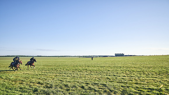SUMMER GALLOPS-2nd-May-DJ-1157