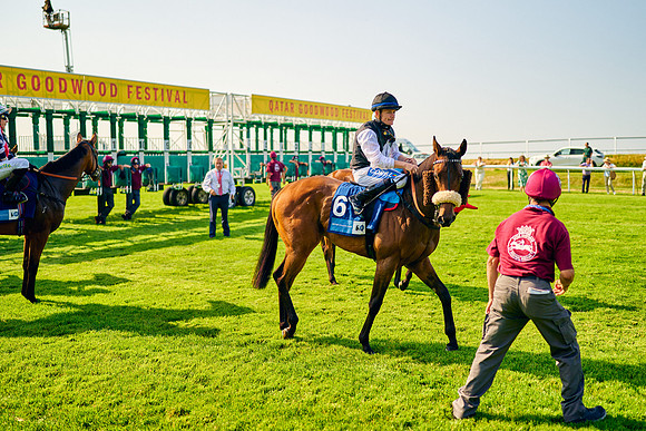 QGF2024_DominicJames_09144