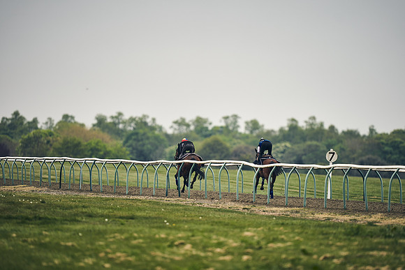 NEWMARKET-GALLOPS-25th-APRIL-DJ-0046