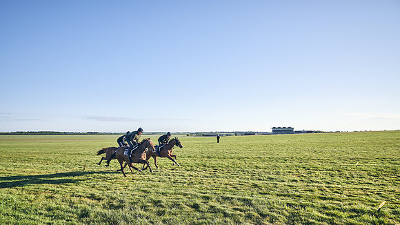 SUMMER GALLOPS-2nd-May-DJ-1162