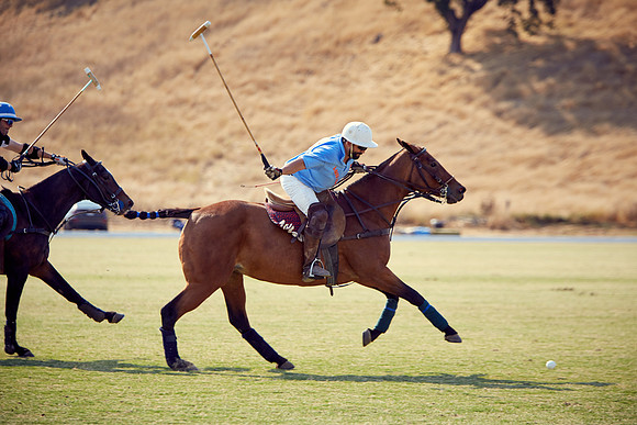 Oyster Cup Polo tournament
