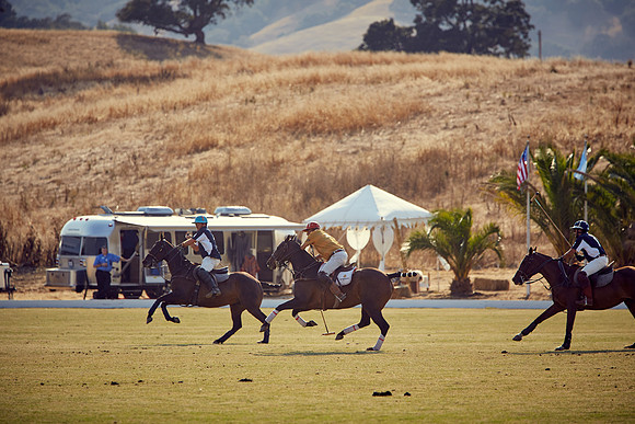Oyster Cup Polo tournament