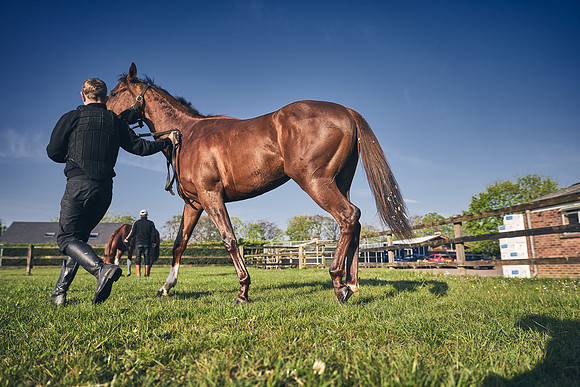GEORGE-BOUGHEY-RACING-DJ-1177