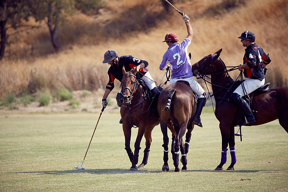 Oyster Cup Polo tournament