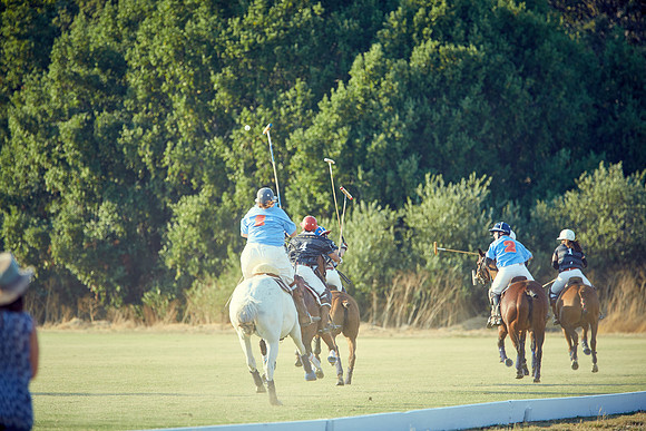 Oyster Cup Polo tournament