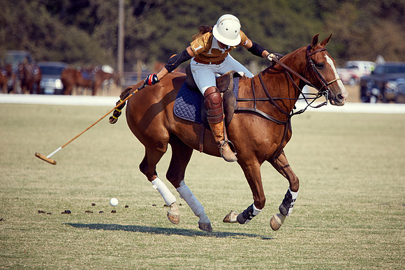 Oyster Cup Polo tournament