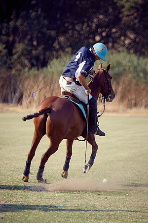 Oyster Cup Polo tournament
