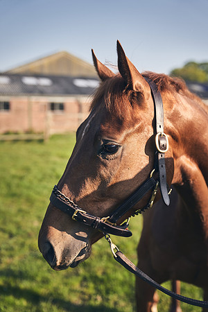 GEORGE-BOUGHEY-RACING-DJ-1398