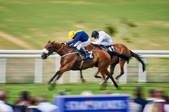 QGF2022_DominicJames_21855