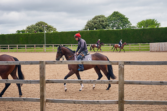 2021-06-11-Dominic-James-0121