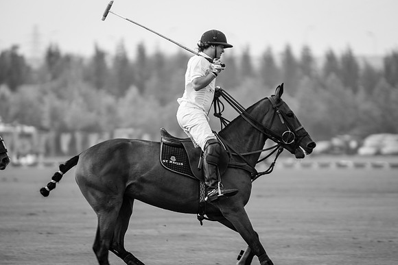 Royal Salute Gold Cup 2012 China Polo Open Tournament